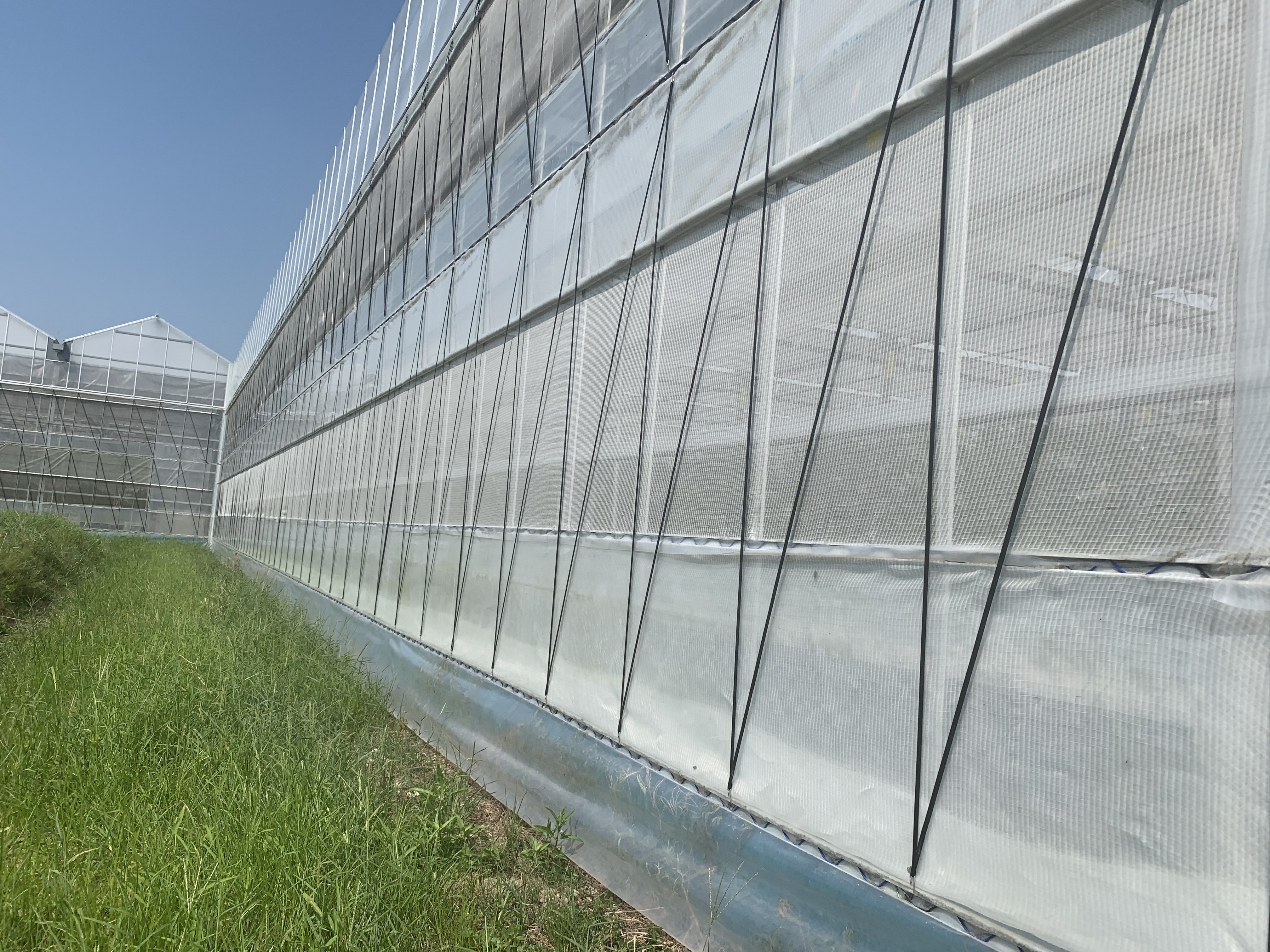 農業資材 | 小泉製麻株式会社