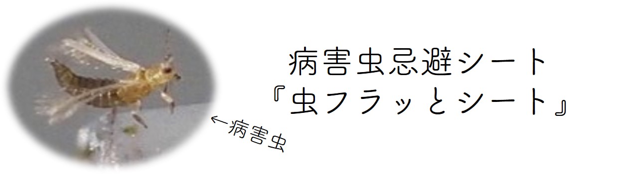 悪さをする虫は良くないですよね虫フラッとシートって何ですの 小泉製麻株式会社 悪さをする虫は良くないですよね虫フラッとシートって何ですの 小泉製麻株式会社