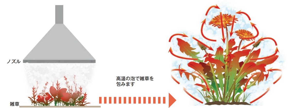 79％以上節約 まとめ やなぎプロダクツ プラスチック フォークホワイト Y-141 1パック 100本 fucoa.cl
