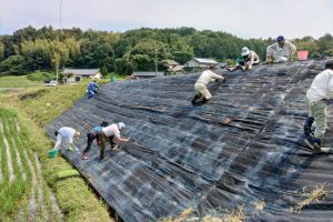 施工の様子　6月