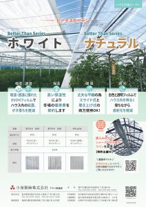 ビーナス Better Than Series ホワイト・ナチュラル